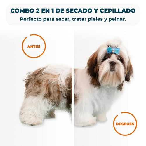 Secador y Cepillo 2 en 1 para Mascotas